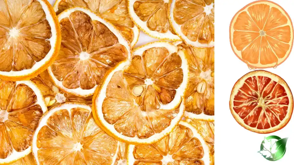 Supplier evaluation for Dried Orange Slices should cover specification, packaging, document package, logistics, and full delivered cost.